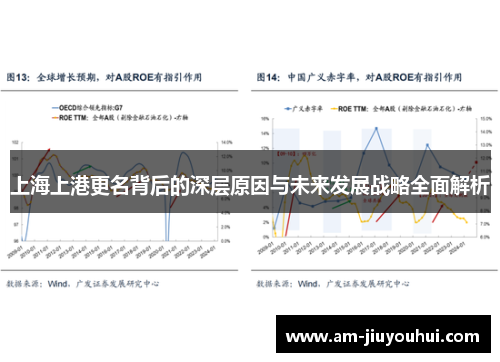 上海上港更名背后的深层原因与未来发展战略全面解析