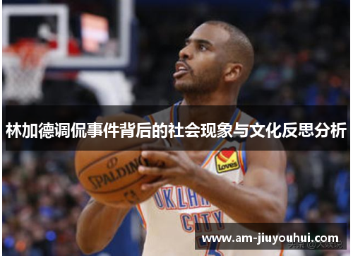 林加德调侃事件背后的社会现象与文化反思分析 林加德调侃事件背后的社会现象与文化反思分析